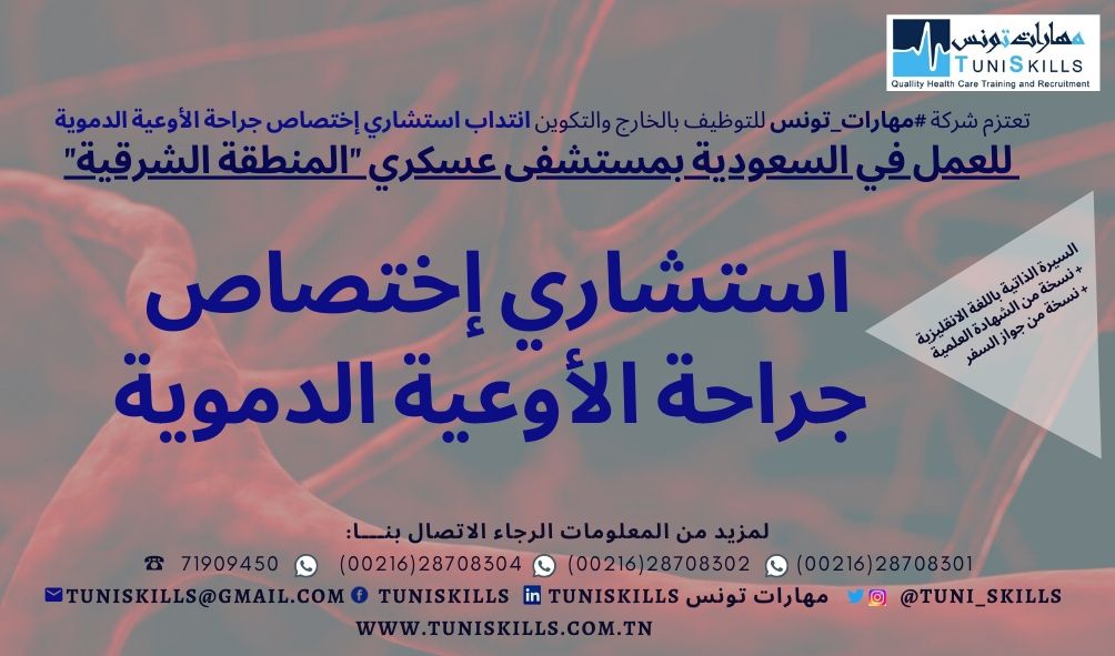 TuniSKILLS offres